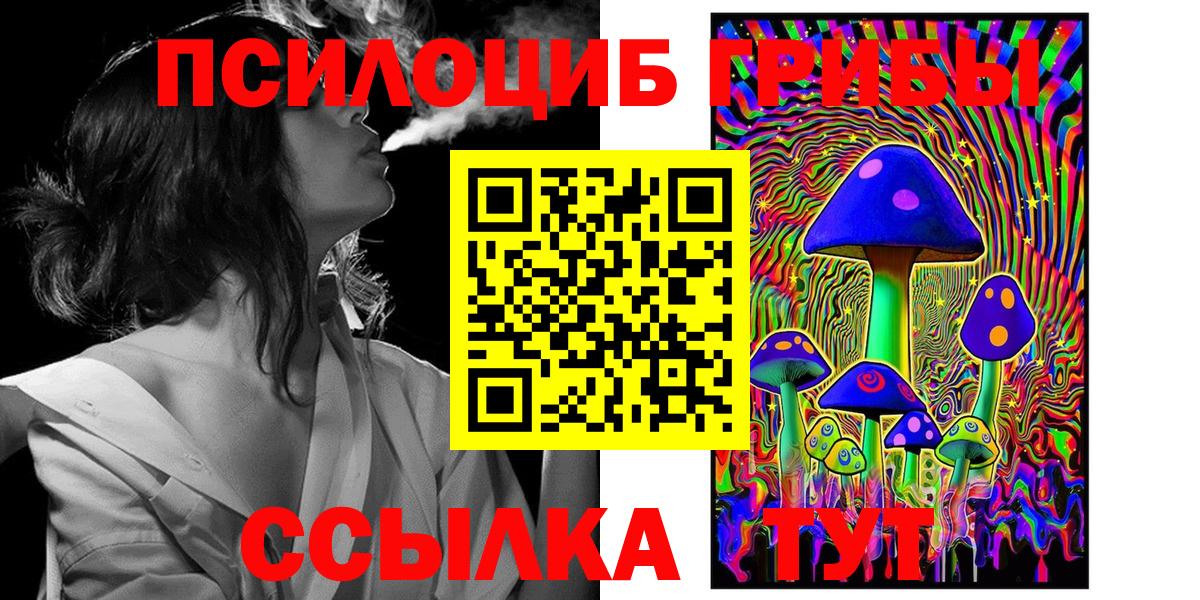 Псилоцибиновые грибы Cubensis Каспийск