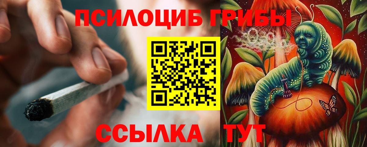 сколько стоит  Вход с VPN  Каспийск  Псилоцибиновые грибы Psilocybe  Псилоцибиновые грибы мицелий 